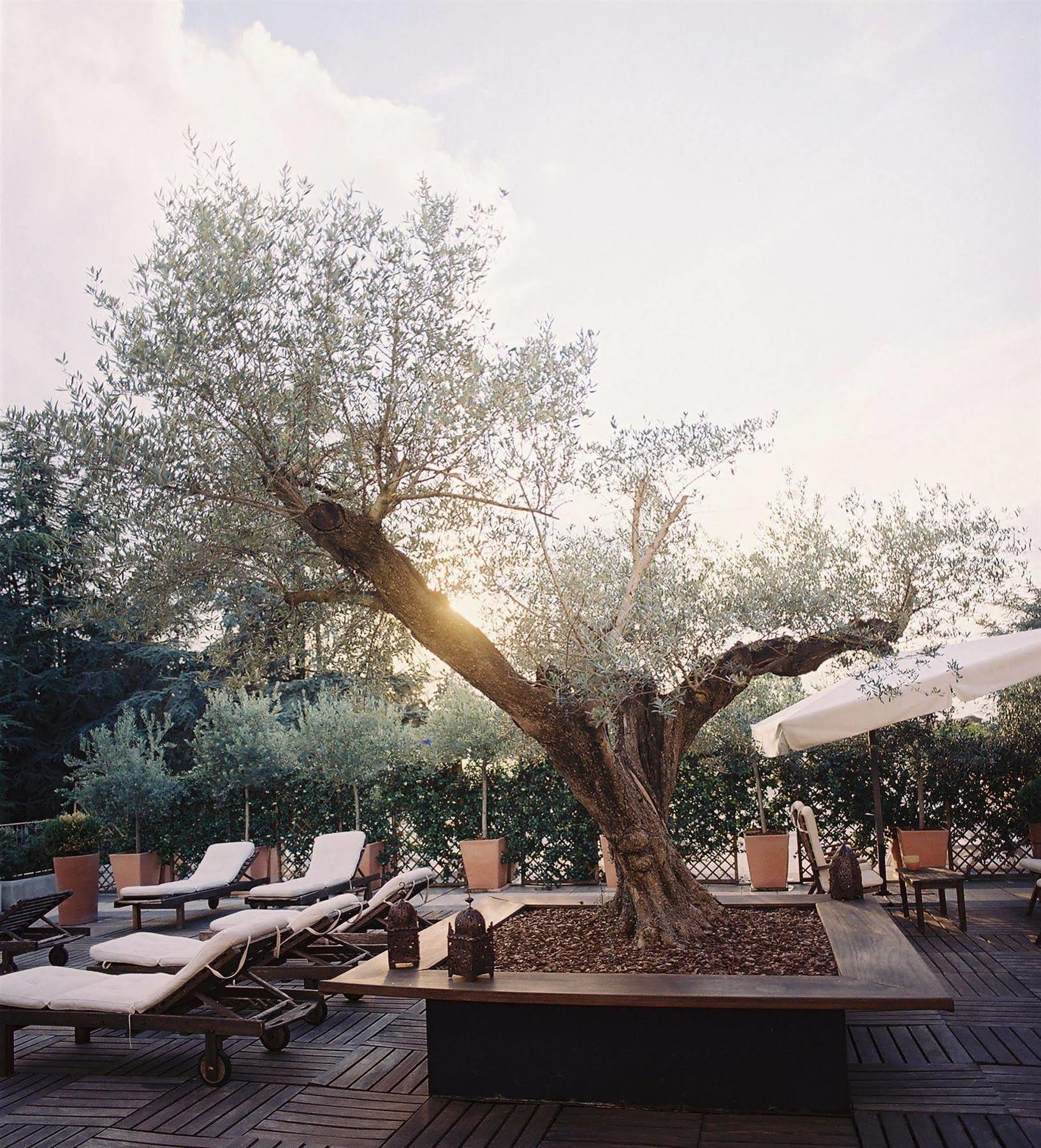 Hotel Terme Monticelli Terme Bagian luar foto